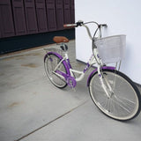 BICICLETA VINTAGE CAMPERA RBK ARO 26