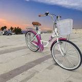 BICICLETA VINTAGE CAMPERA RBK ARO 26