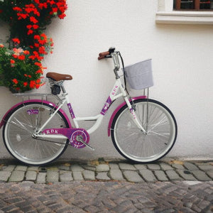 BICICLETA VINTAGE CAMPERA RBK ARO 26