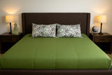 Almohada Dolares