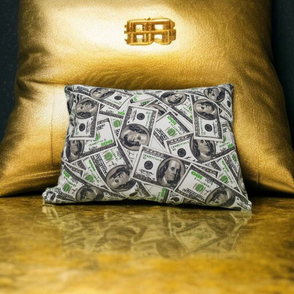 ALMOHADA DE BILLETES DE DÓLARES (Atrae el Dinero y la Abundancia)