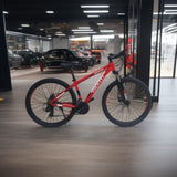 BICICLETA MARCA GIONTI ARO 29