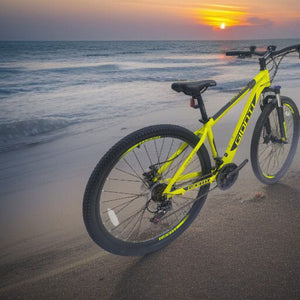 BICICLETA MARCA GIONTI ARO 29