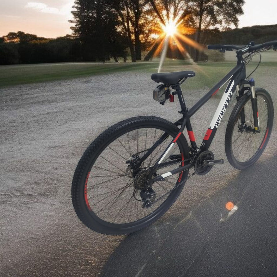 BICICLETA MARCA GIONTI ARO 29