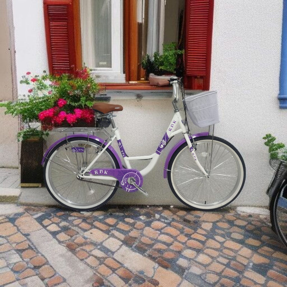 BICICLETA VINTAGE CAMPERA RBK ARO 26